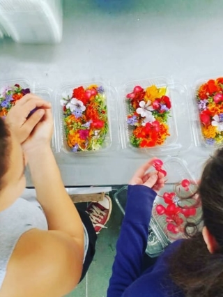 barquette_fleurs