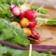 panier_2
