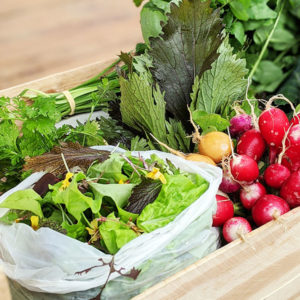 Grand panier