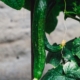 markus-spiske-4DTzukt0Ozs-unsplash