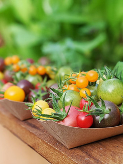 mix_tomates