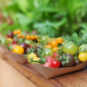 mix_tomates