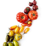 tomates