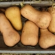 pumpkin-2802114_960_720
