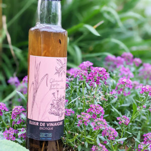 Elixir de vinaigre exotique