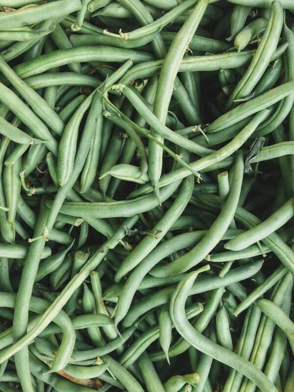 Haricots verts