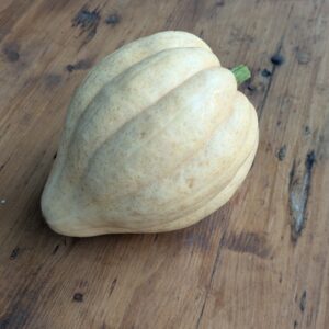 Courge Thelma > 1kg