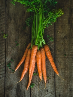 carottes