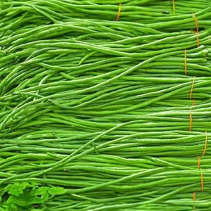 Haricots kilomètres