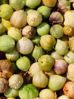 tomatilles