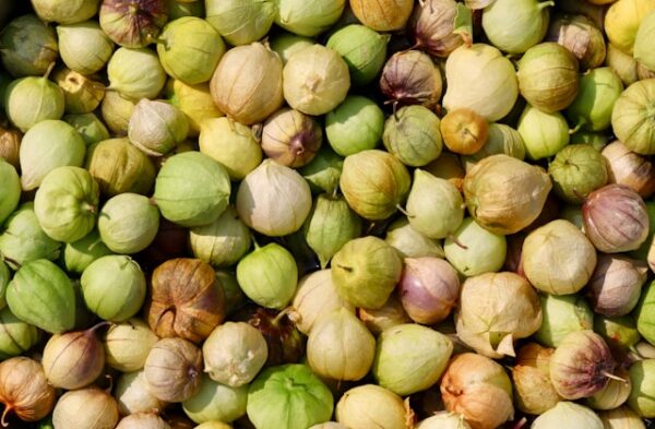 Tomatilles