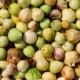 tomatilles