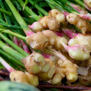 Gingembre FRAIS