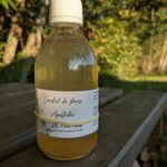 cordial_agastache