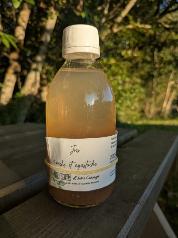 Jus Pêches et Agastache