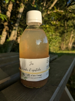 jus_peche_agastache