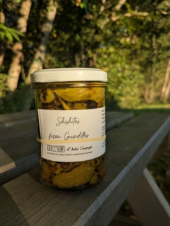 shishitos_guindillas