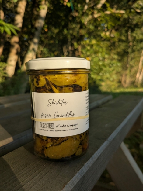 shishitos_guindillas