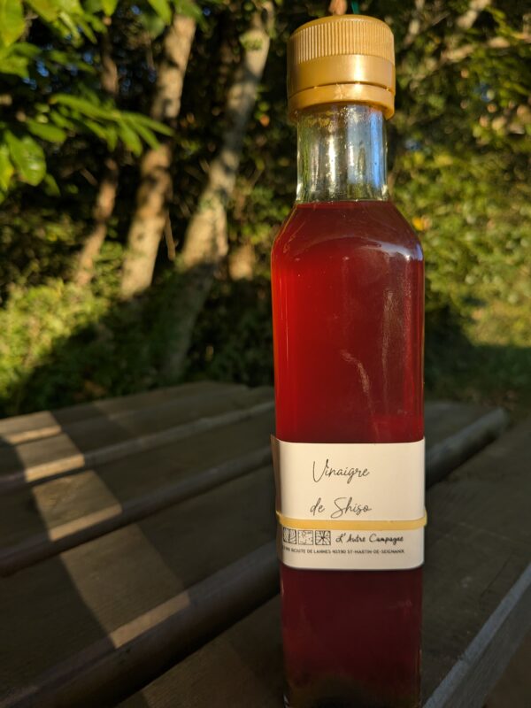 Vinaigre de Shiso
