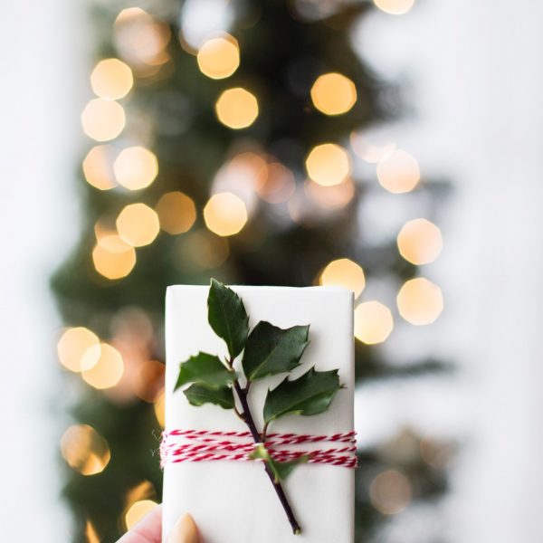 kari-shea-KVl1jLknCv8-unsplash kari-shea-KVl1jLknCv8-unsplash
